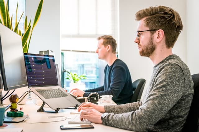 Expert Software Development overview